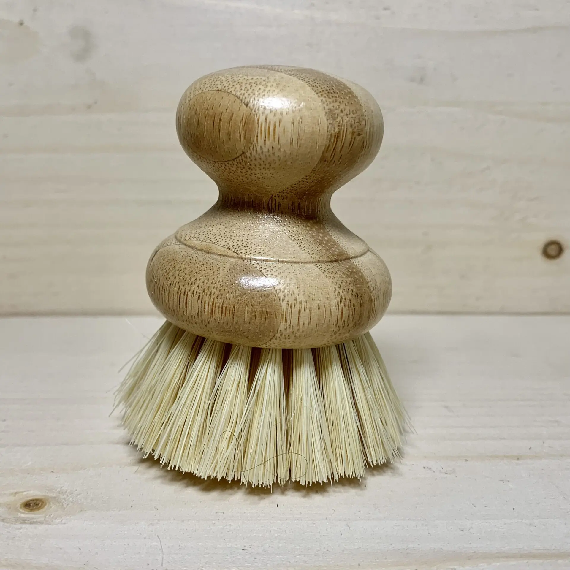 Dish Brush