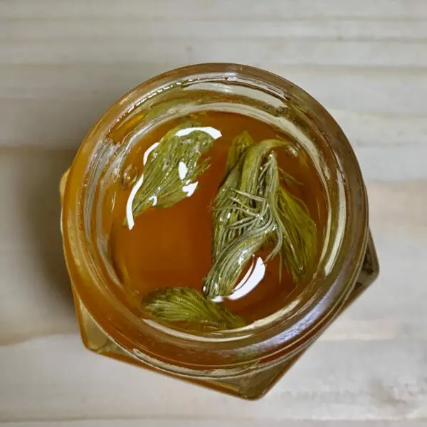 Spruce Tip infused Honey - Image 2